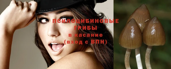 прущий лед Пролетарск