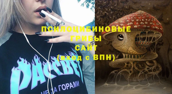 сатива Протвино