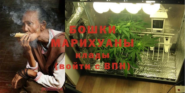 сатива Протвино