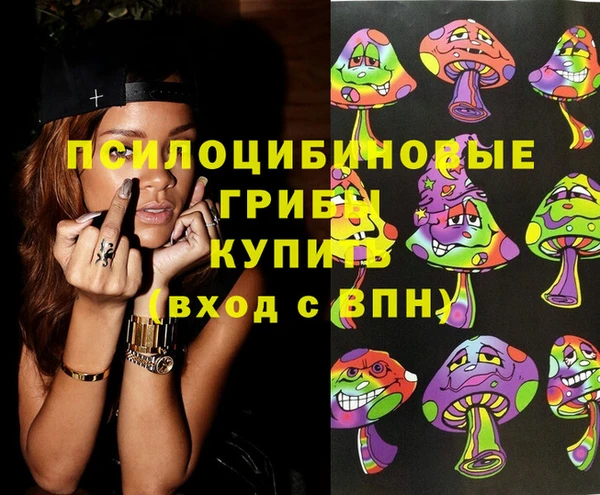 сатива Протвино