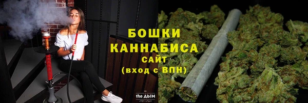 сатива Протвино