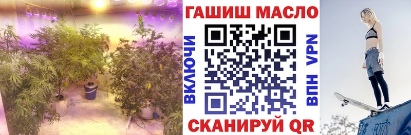 что такое   Светогорск  ТГК вейп 