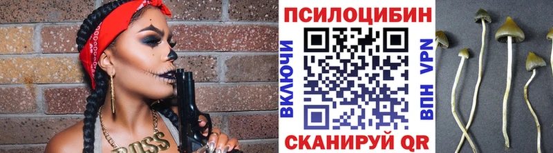 где можно купить   ОМГ ОМГ зеркало  Галлюциногенные грибы MAGIC MUSHROOMS  Светогорск 